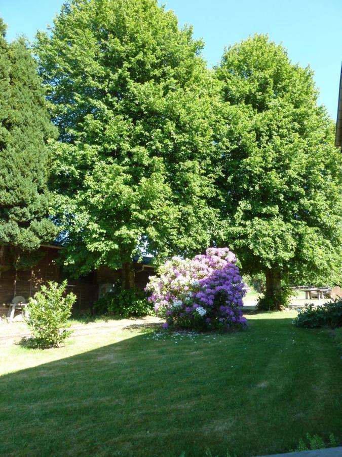 'Chez Lulu' - Gîte de charme en Ardennes avec grande terrasse fermée Nassogne Esterno foto