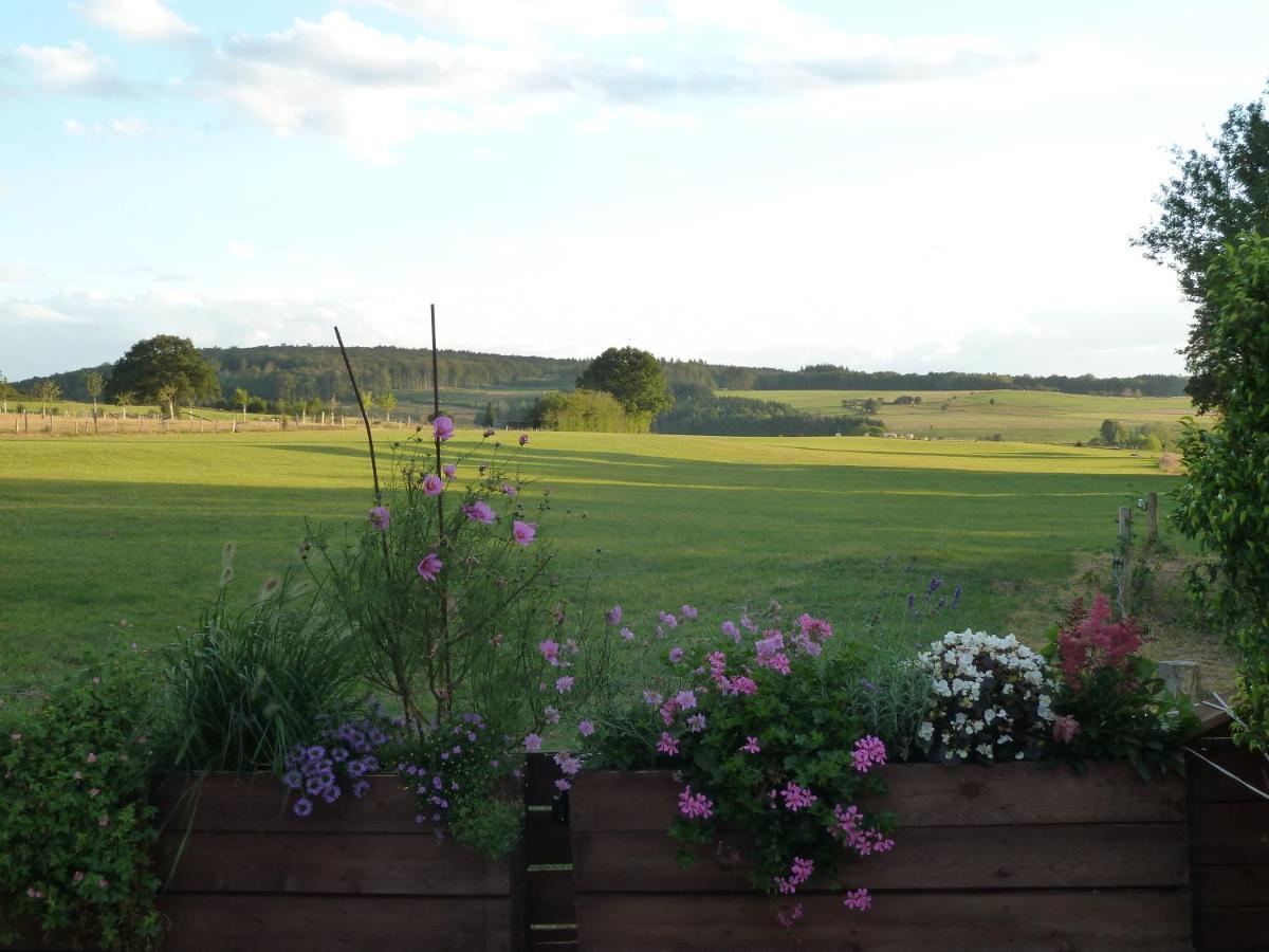 'Chez Lulu' - Gîte de charme en Ardennes avec grande terrasse fermée Nassogne Esterno foto