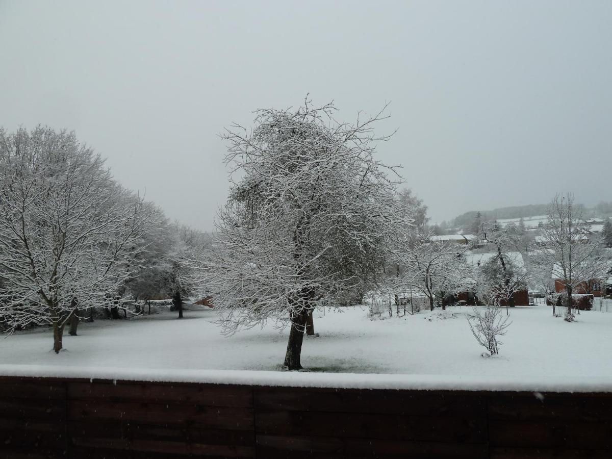 'Chez Lulu' - Gîte de charme en Ardennes avec grande terrasse fermée Nassogne Esterno foto